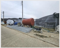  2024Ÿ32190 泲   縮 620-3      ()