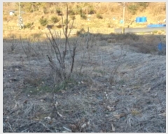  2024Ÿ��32671 �泲 ������ ������ 1122       ����(��)���