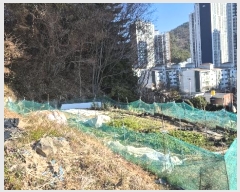  2024Ÿ��32671 �泲 ������ ������ 1118-3       ����(�Ӿ�)���