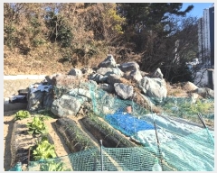  2024Ÿ��32671 �泲 ������ ������ 1118-3       ����(�Ӿ�)���