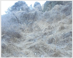  2024Ÿ32756 泲 뿵   153-1      ()