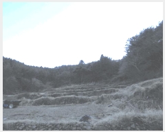  2024Ÿ32756 泲 뿵   153-1      ()