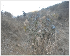  2024Ÿ32756 泲 뿵   153-1      ()