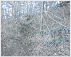  2024Ÿ32756 泲 뿵   153-1      ()