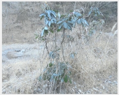  2024Ÿ32756 泲 뿵   153-1      ()