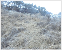  2024Ÿ32756 泲 뿵   153-1      ()