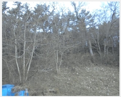  2024Ÿ32756 泲 뿵   153-1      ()