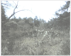  2024Ÿ32756 泲 뿵   153-1      ()