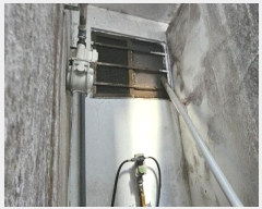  2024Ÿ32923 泲 뿵 ׳3 10-1       ٸü,󰡰