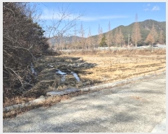  2024Ÿ33186 泲  󸮸  456-2      ()