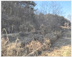  2024Ÿ33186 泲  󸮸  456-2      ()