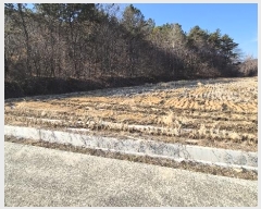  2024Ÿ33186 泲  󸮸  456-2      ()