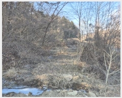  2024Ÿ33186 泲  󸮸  456-2      ()