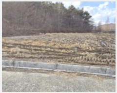  2024Ÿ33186 泲  󸮸  456-2      ()