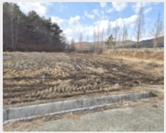  2024Ÿ33186 泲  󸮸  456-2      ()