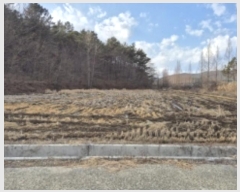  2024Ÿ33186 泲  󸮸  456-2      ()