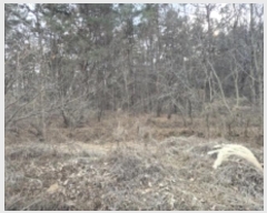  2024Ÿ33186 泲  󸮸  456-2      ()