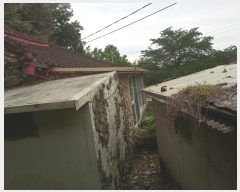  2024Ÿ950 泲 â籺 õ  157-1      ð