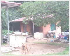  2024Ÿ950 泲 â籺 õ  157-1      ð