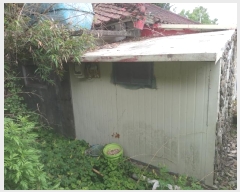  2024Ÿ950 泲 â籺 õ  157-1      ð