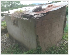  2024Ÿ950 泲 â籺 õ  157-1      ð