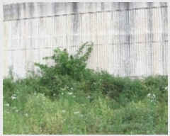  2024Ÿ��1106 �泲 â�籺 â���� ���긮 402-2      ����(��)���