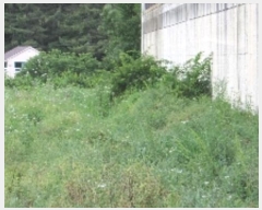  2024Ÿ��1106 �泲 â�籺 â���� ���긮 402-2      ����(��)���