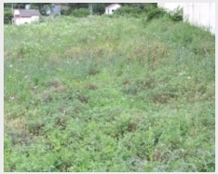  2024Ÿ��1106 �泲 â�籺 â���� ���긮 402-2      ����(��)���