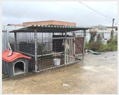  2024Ÿ��2482  �������