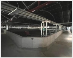  2024Ÿ��2482  �������