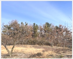  2024Ÿ3010 泲 â籺 ո ︮ 39-7      (Ӿ)