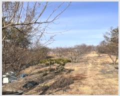  2024Ÿ3010 泲 â籺 ո ︮ 39-7      (Ӿ)