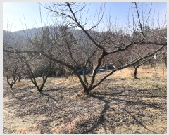  2024Ÿ3010 泲 â籺 ո ︮ 39-7      (Ӿ)