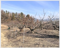  2024Ÿ3010 泲 â籺 ո ︮ 39-7      (Ӿ)