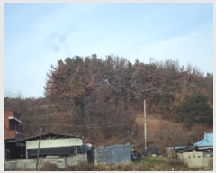  2024Ÿ3010 泲 â籺 ո ︮ 39-7      (Ӿ)