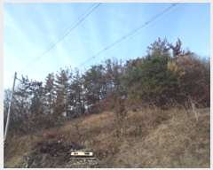  2024Ÿ3010 泲 â籺 ո ︮ 39-7      (Ӿ)