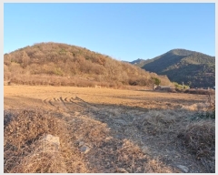  2024Ÿ��3096 �泲 â�籺 �輺�� �Ŵ縮 468-1      ����(��1)���