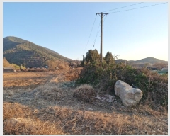  2024Ÿ��3096 �泲 â�籺 �輺�� �Ŵ縮 468-1      ����(��1)���