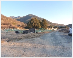  2024Ÿ��3096 �泲 â�籺 �輺�� �Ŵ縮 468-1      ����(��1)���