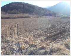  2024Ÿ��3096 �泲 â�籺 �輺�� �Ŵ縮 468-1      ����(��1)���