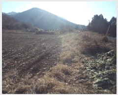  2024Ÿ��3096 �泲 â�籺 �輺�� �Ŵ縮 468-1      ����(��1)���