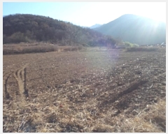  2024Ÿ��3096 �泲 â�籺 �輺�� �Ŵ縮 468-1      ����(��1)���