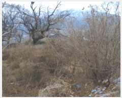  2024Ÿ��3218  �����