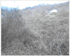  2024Ÿ��3218  �����