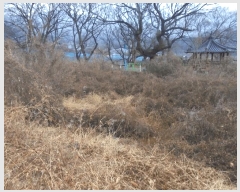  2024Ÿ��3218  �����