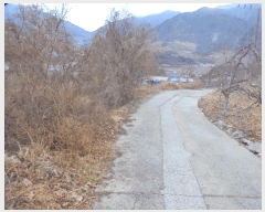  2024Ÿ��3218  �����