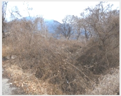  2024Ÿ��3218  �����