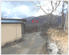  2024Ÿ��3218  �����