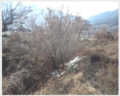  2024Ÿ��3218  �����