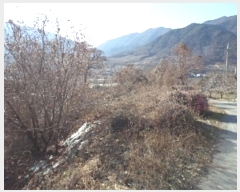  2024Ÿ��3218  �����